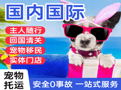 黄山机场物流国际宠物托运 【国